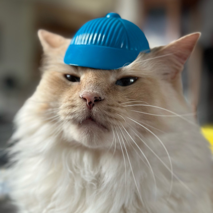 Faust Pet Care
