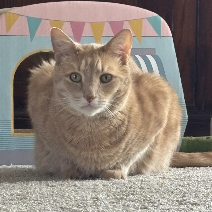 Leave Your Fur Baby To Me photo 3