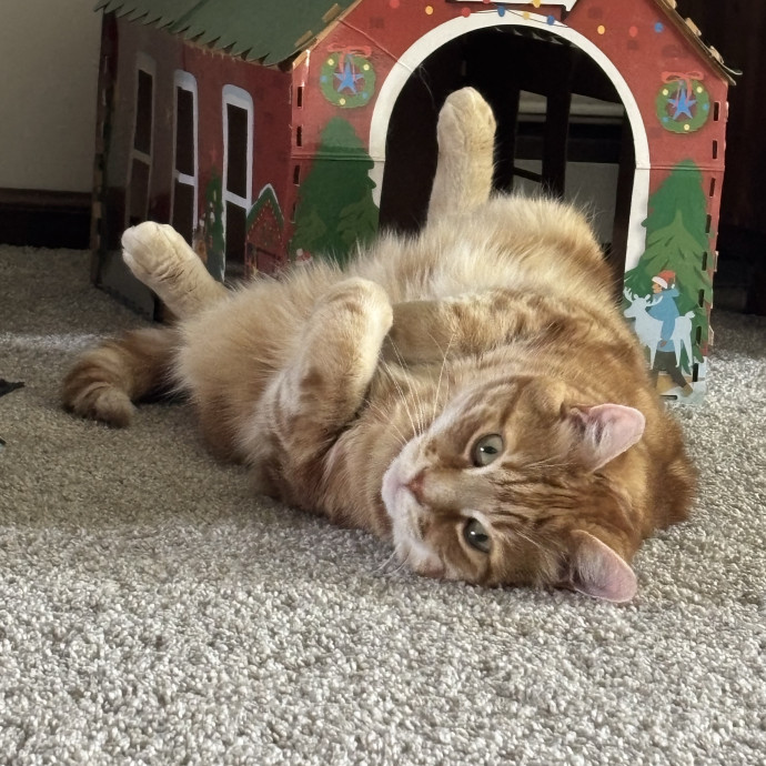 Leave Your Fur Baby To Me photo 2