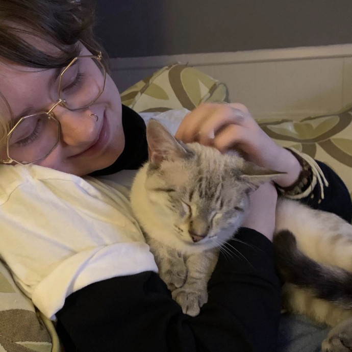 Cat-Obsessed