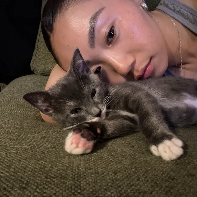 Big City Calm Ciddies