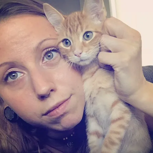 Top Notch Cat Care By Annie