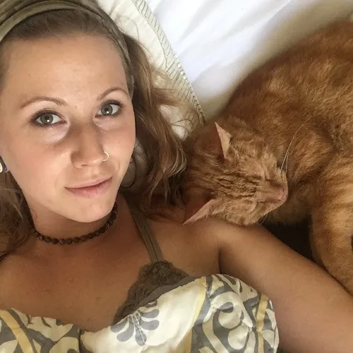 Top Notch Cat Care By Annie