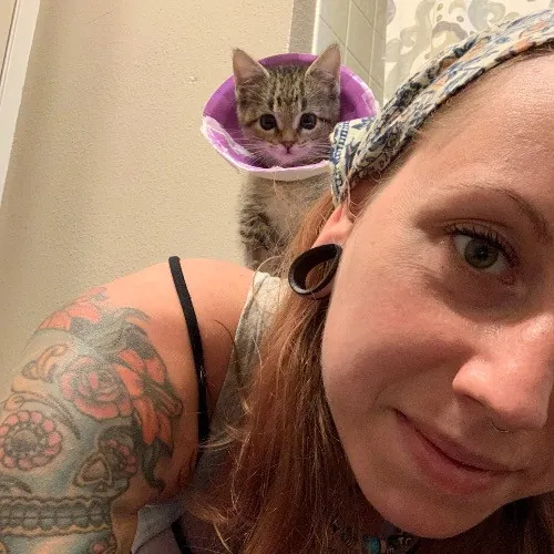 Top Notch Cat Care By Annie