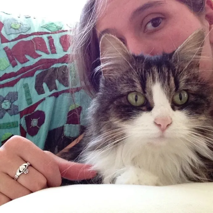 Loving-Reliable-Playful Cat Specialist