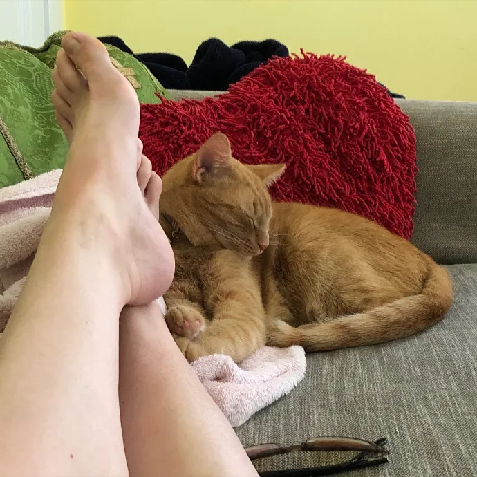 Loving-Reliable-Playful Cat Specialist