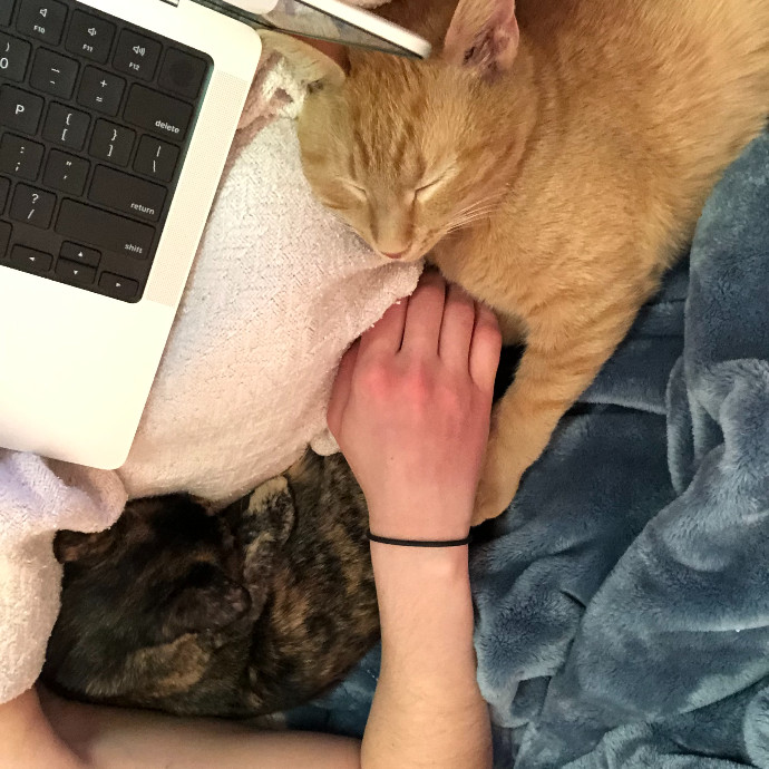 Loving-Reliable-Playful Cat Specialist photo 3