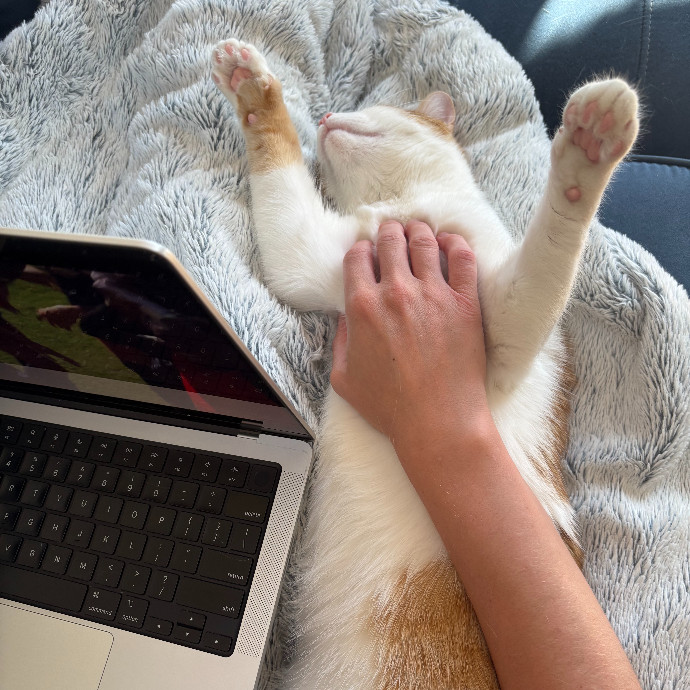 Loving-Reliable-Playful Cat Specialist photo 2