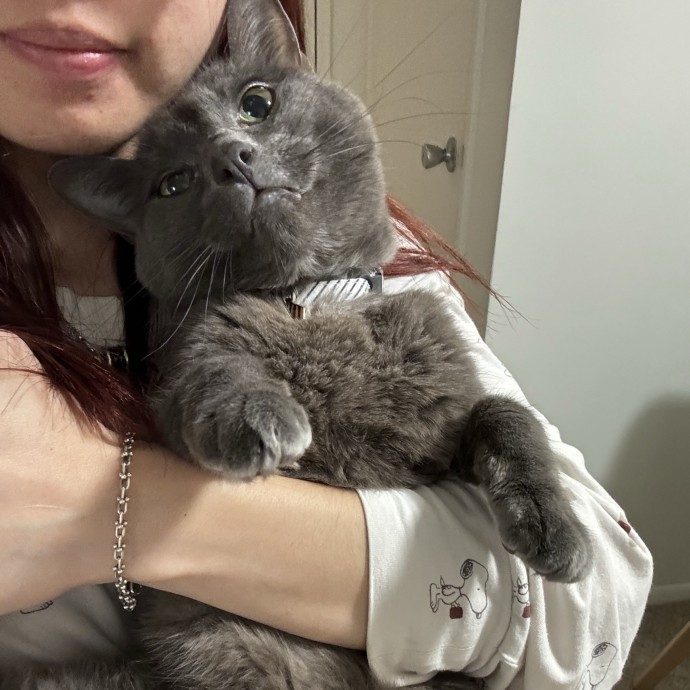 Caring Cat Sitter You Can Trust
