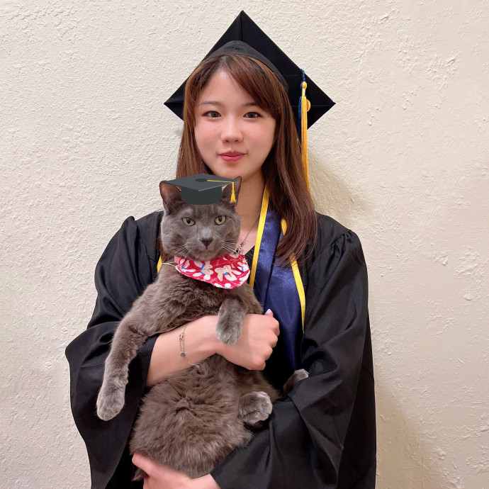 Caring Cat Sitter You Can Trust