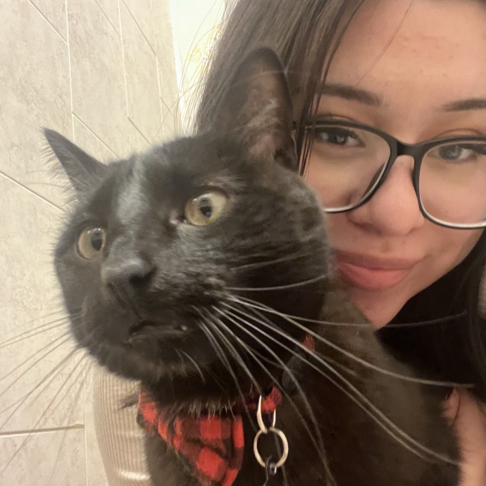 Cat Mom You Can Trust In West Orange