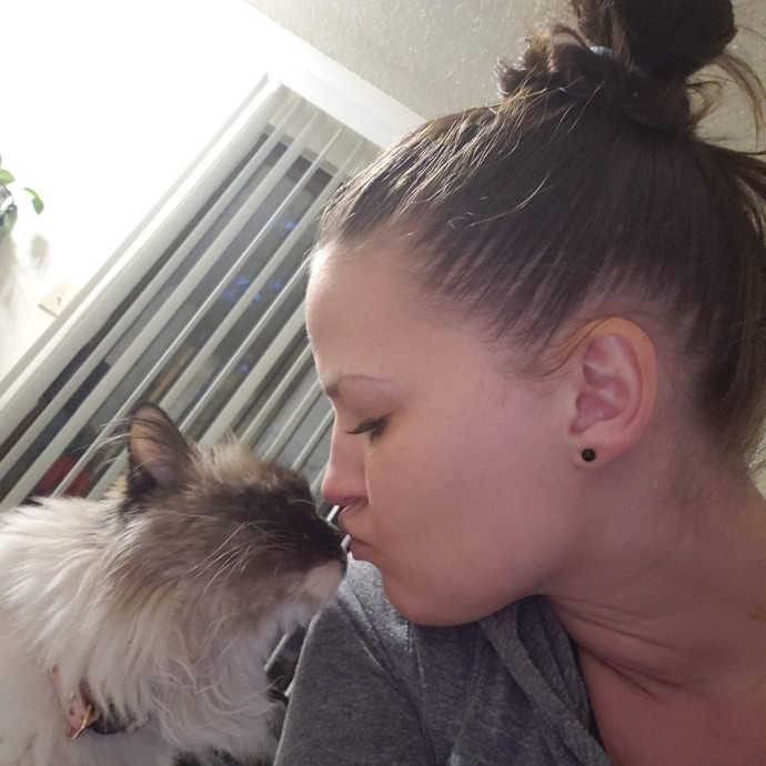 Your Cat's Best Friend
