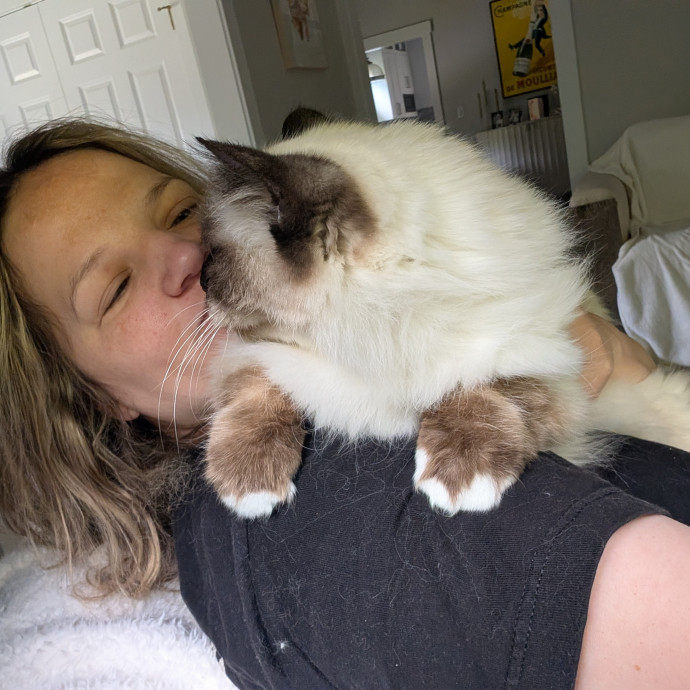 Your Cat's Best Friend photo 2