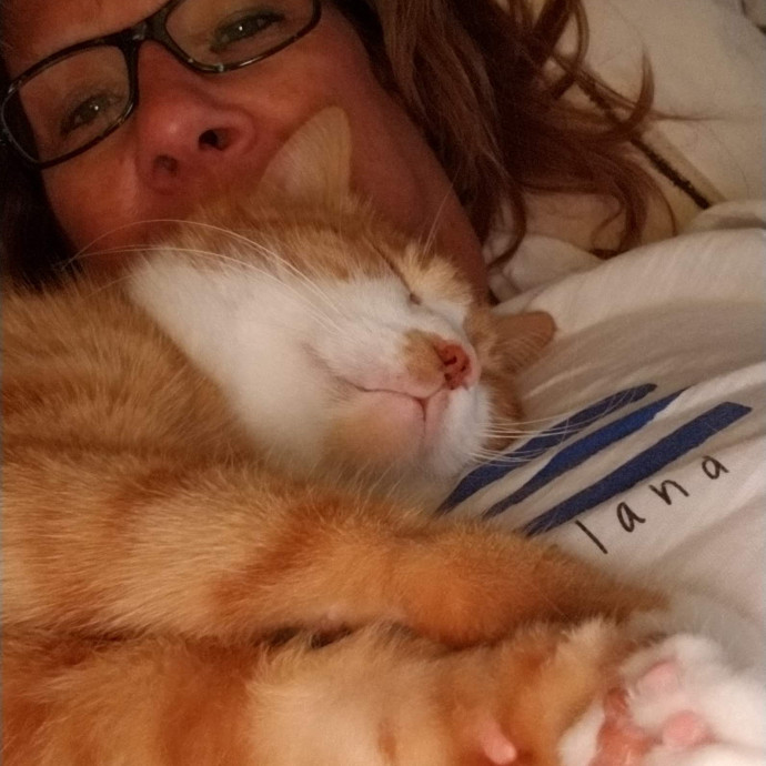 Debbie The Cat Whisperer photo 3