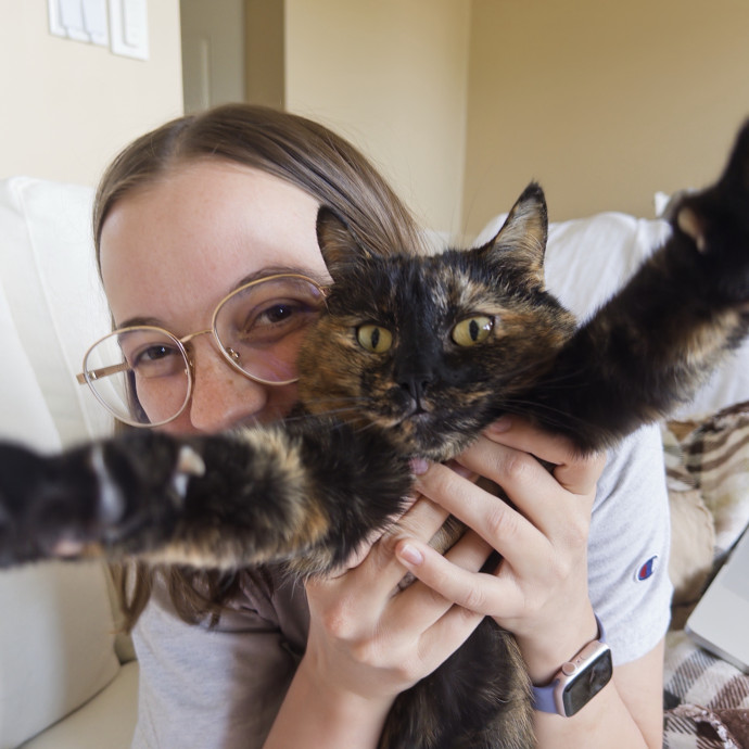 Carlyle Cat Care photo 3