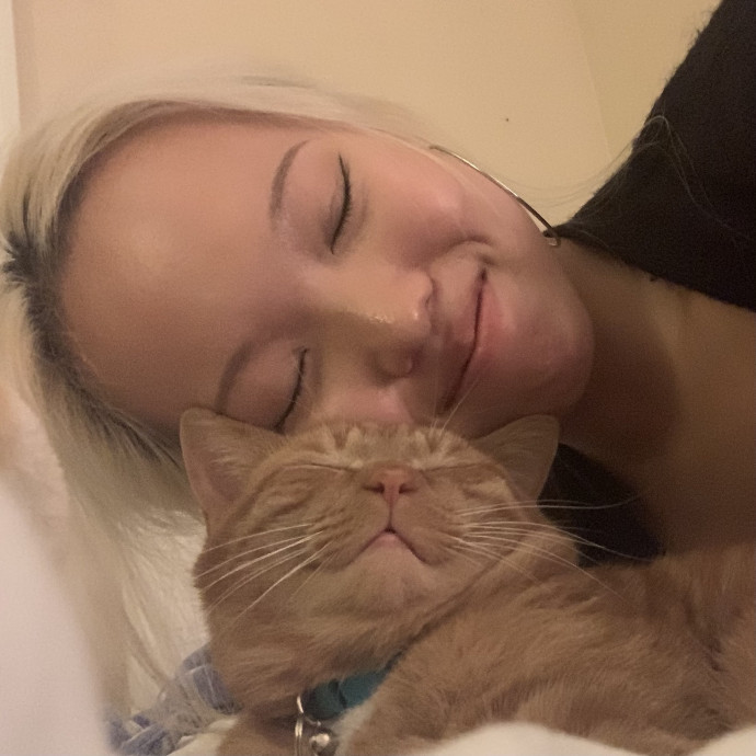 Purrsonalized Cat Care