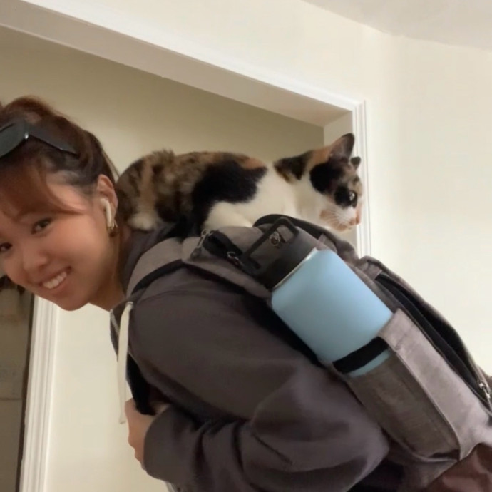 Purrsonalized Cat Care