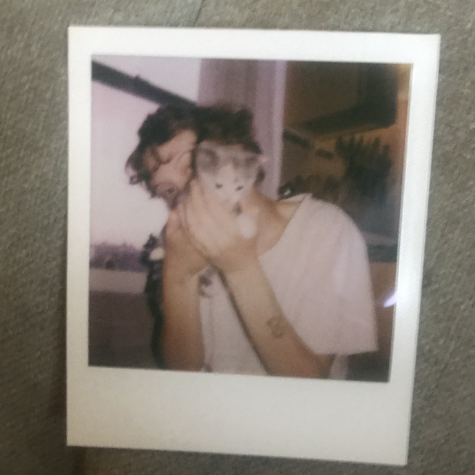 Zoë Loves Cats