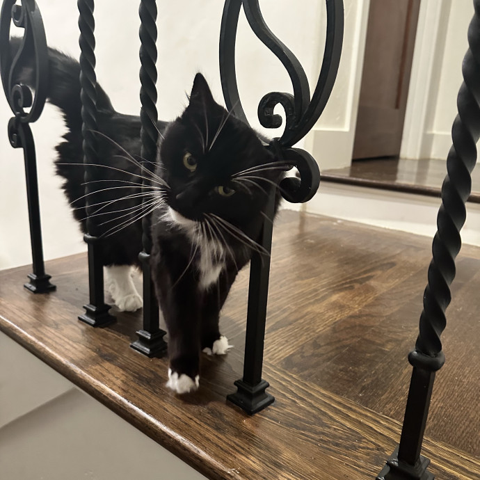 Meticulous Care With A Playful Touch