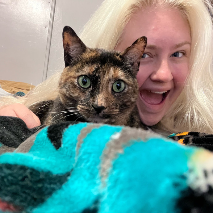 Cats Are My Favorite Animals photo 2