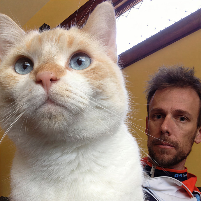Mikey's Kitty Care photo 3