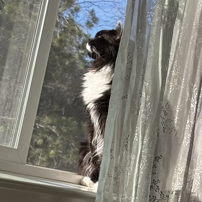 Lily R.