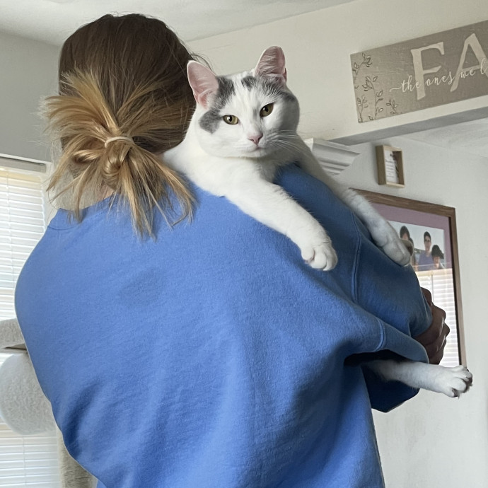 Your Cat's New Best Friend photo 2
