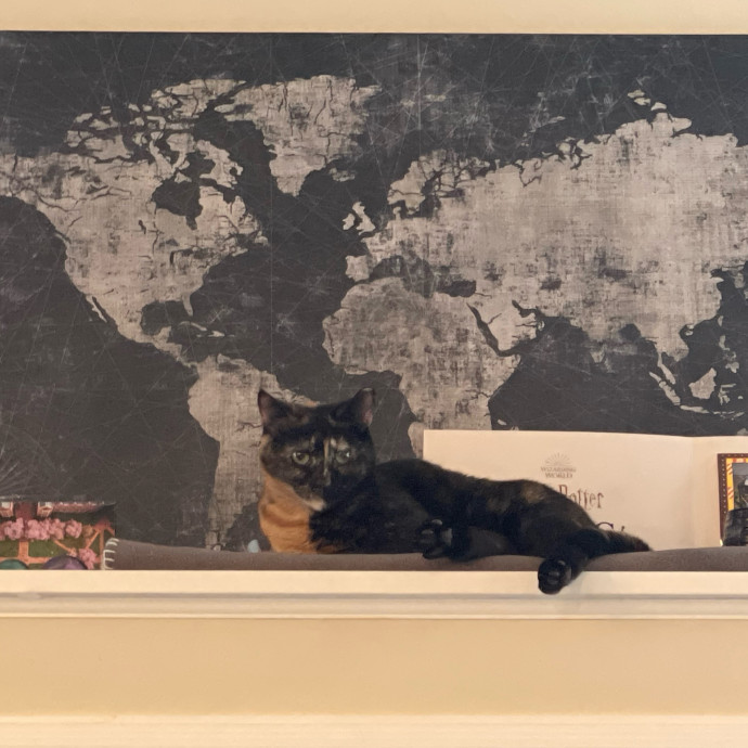 Purr-Fect Pet Care With Tiffani