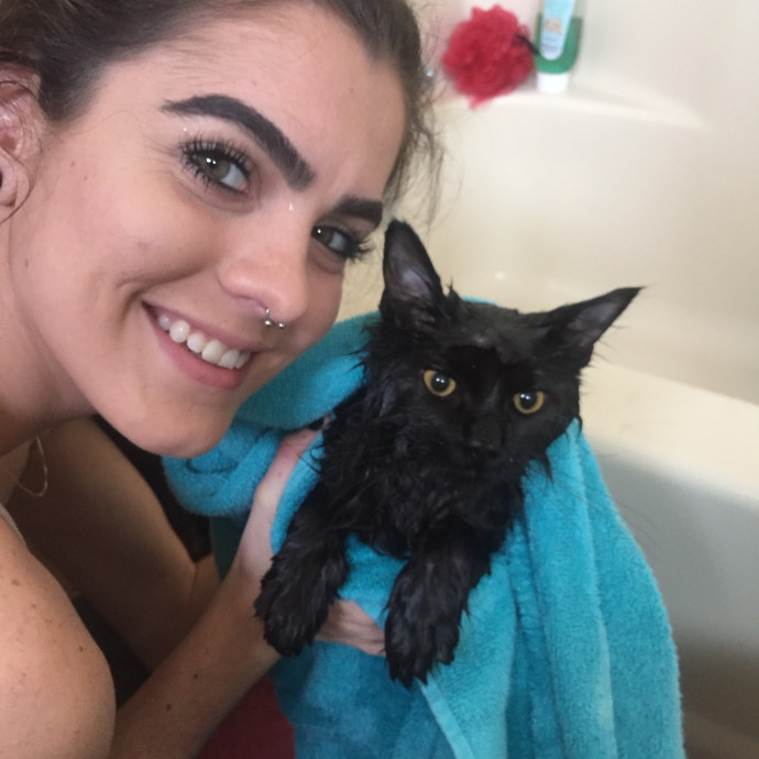 Professional Cat Sitter
