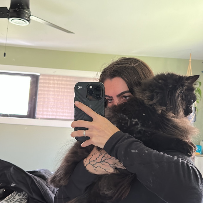 Professional Cat Sitter photo 3