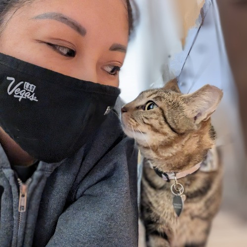 Cynthia's Cool Cat Care Club