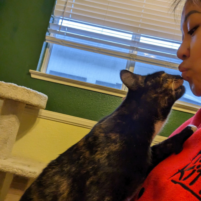 Cynthia's Cool Cat Care Club