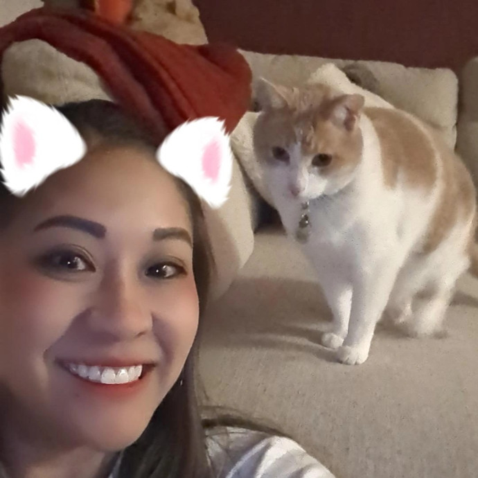 Cynthia's Cool Cat Care Club