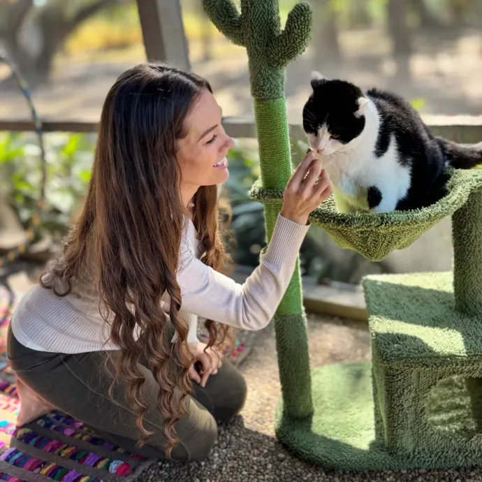 Purrsonalized Care For Your Kitty 
