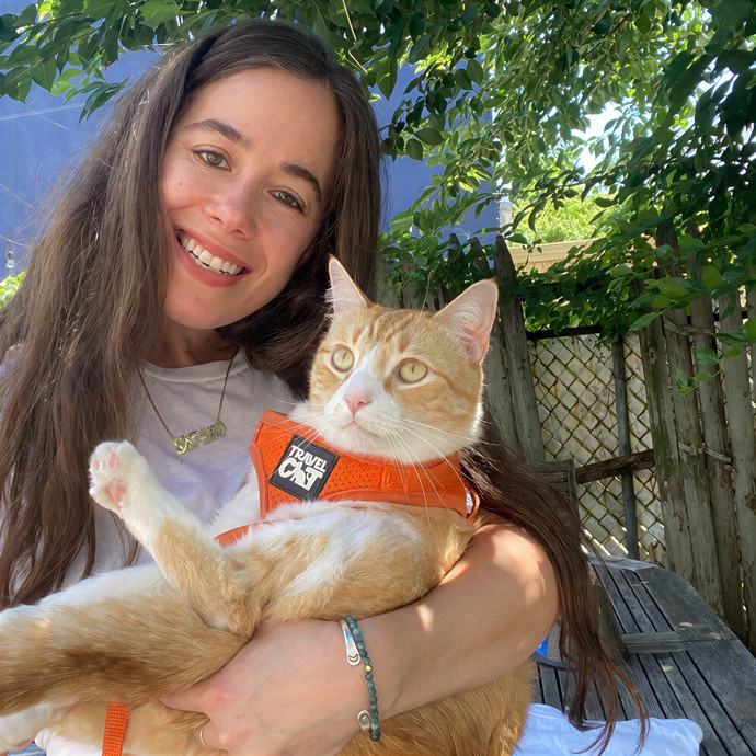 Sophie's Cat-Loving Care photo 3