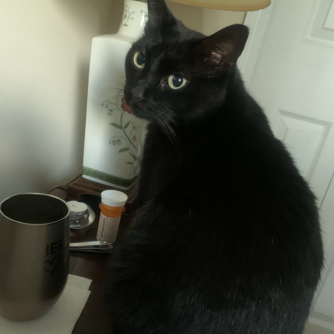 Mystic Kitty Lover photo 2