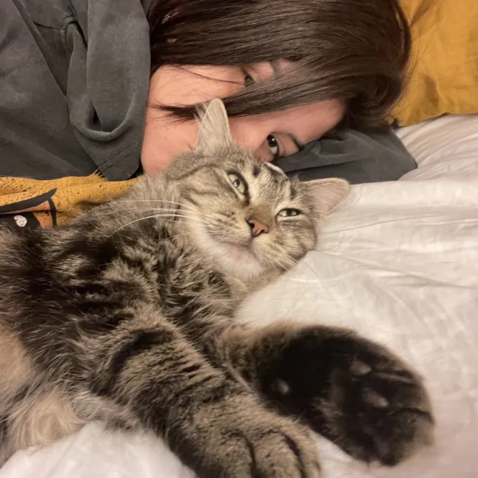 Loving  Purr-Fessional Cat Sitter