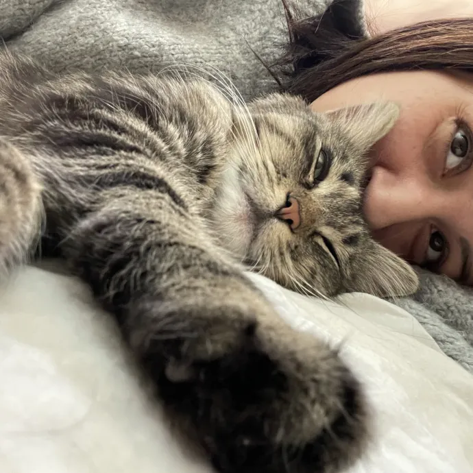 Loving  Purr-Fessional Cat Sitter