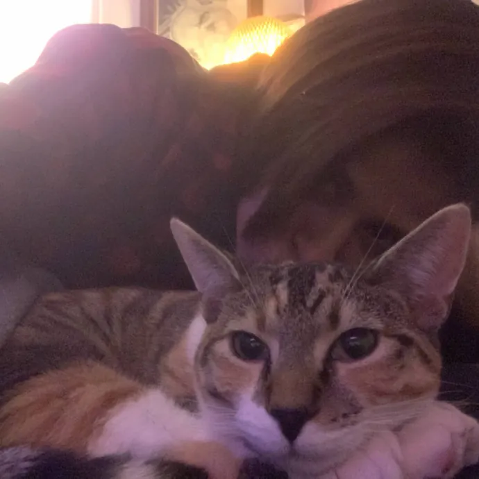 Loving  Purr-Fessional Cat Sitter