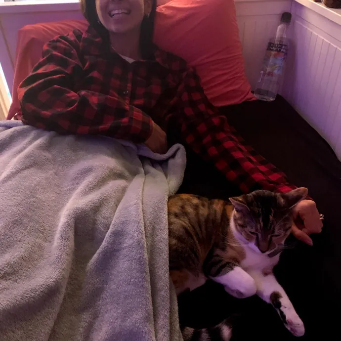 Loving  Purr-Fessional Cat Sitter photo 3