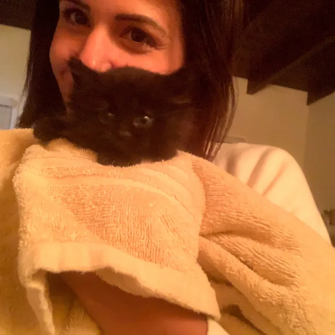 Loving  Purr-Fessional Cat Sitter photo 2