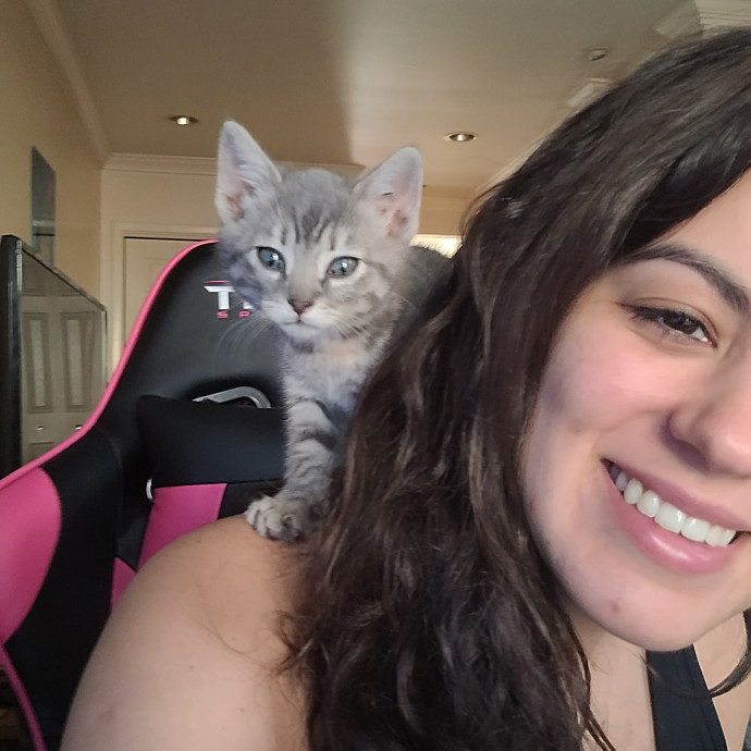 Experienced Cat Sitter  Former Foster
