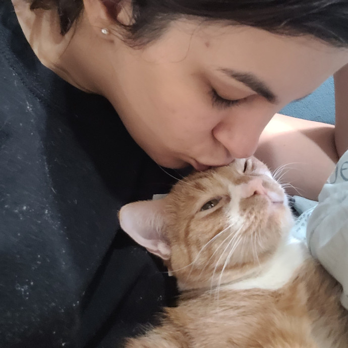 Experienced Cat Sitter  Former Foster