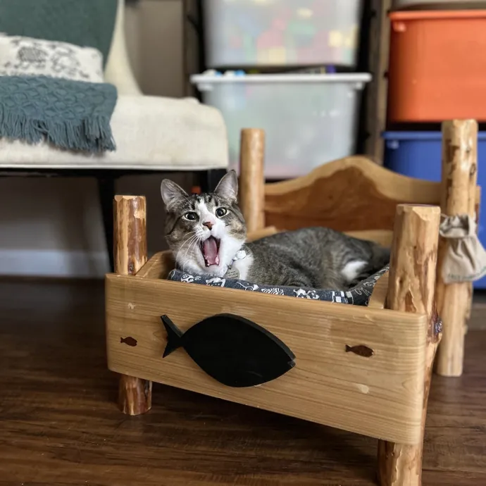 Loving Care For Every Kitty Personality