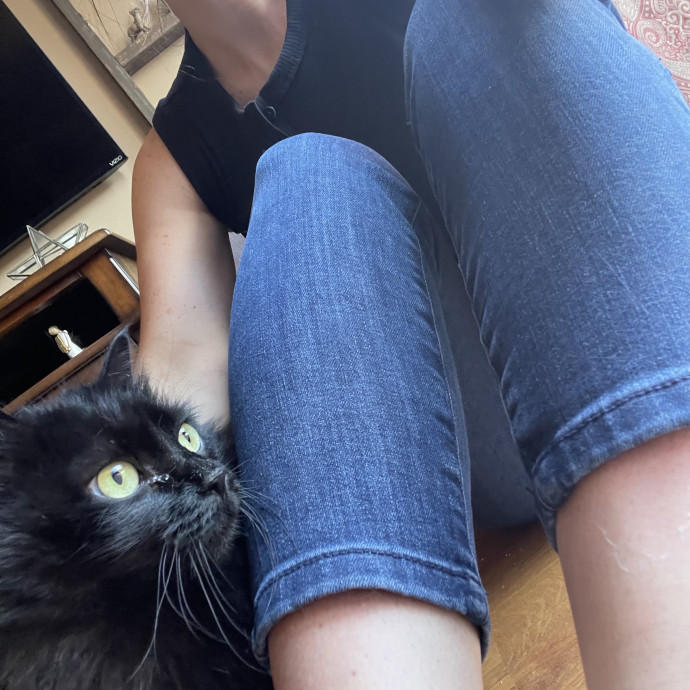 Mindful Approach To Cat Care