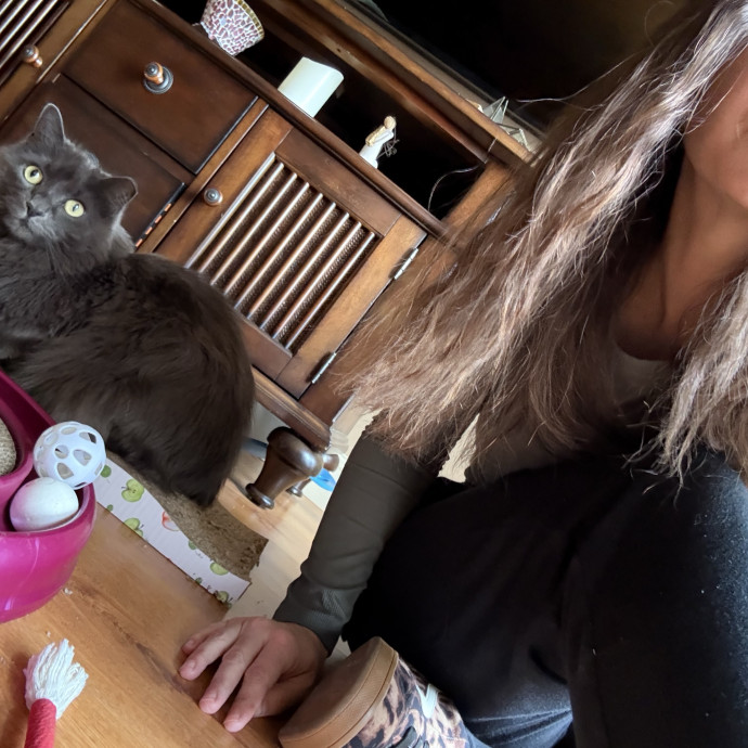 Mindful Approach To Cat Care