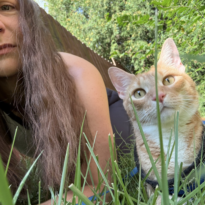 Mindful Approach To Cat Care