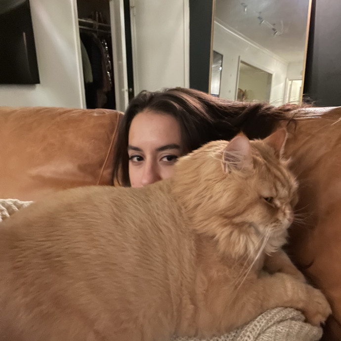 Taylor's Top Notch Kitty Sitting