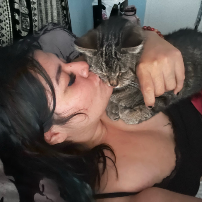 Your Cat's New Best Friend