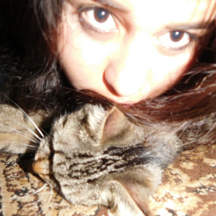 Your Cat's New Best Friend